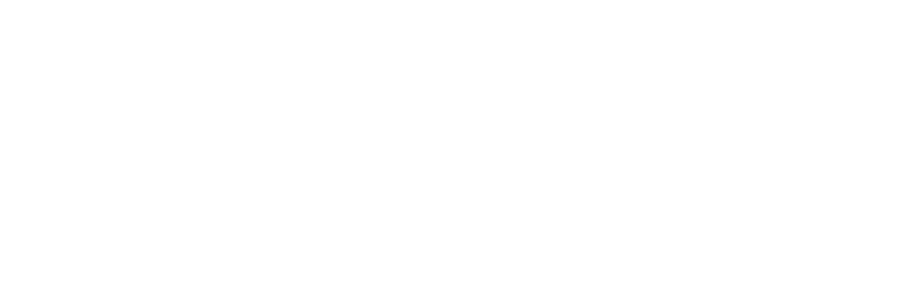 Virtual CTO